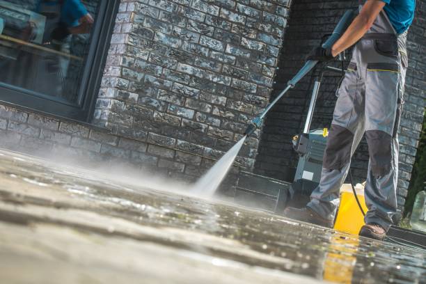 Best Graffiti Removal  in Orangeburg, NY